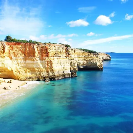 Homes Da Rocha Elegant 50 M Away From The Ocean Appartement *
