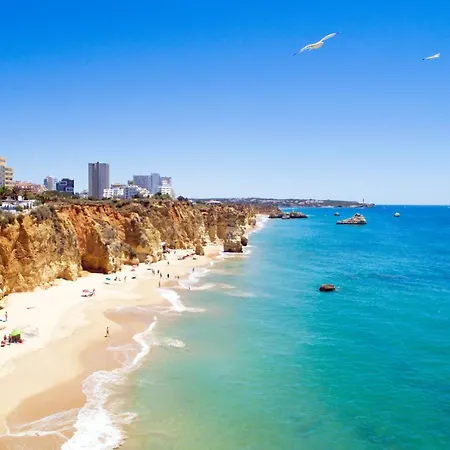 Apartment Homes Da Rocha Elegant 50 M Away From The Ocean *